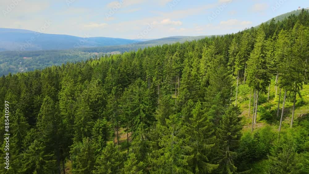 mountains forest Flight over Drone coniferous trees Bavaria Germany