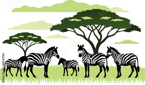 Illustration of African zebras grazing in the savannah, surrounded by acacia trees and a lush green landscape under a cloudy sky.