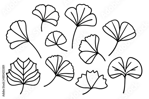 Ginkgo Leaf Line Art Design Illustration Abstract Creative Drawing