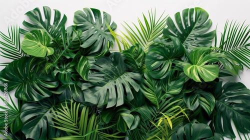 A lush and leafy tropical plant sprawled out on a white background AI generated illustration
