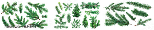 A realistic modern illustration of fir branches with green needles. They are isolated on a transparent background. Winter holiday evergreen decorations, spruce branches, cedar branches.