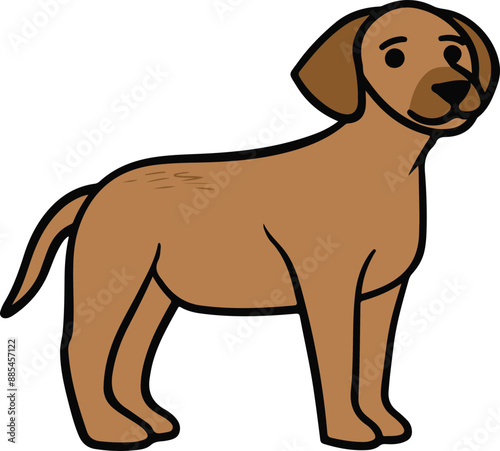 Cartoon Dog Illustration