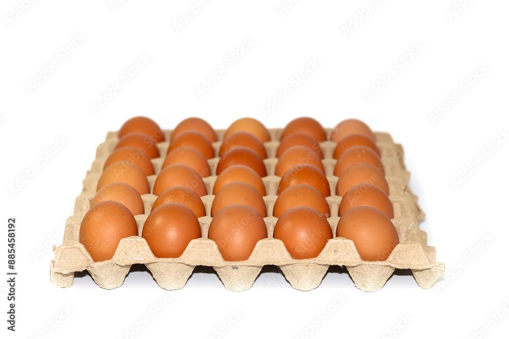 Eggs full tray put on white background with concept isolated style.