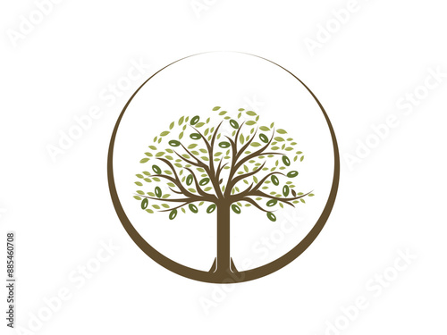 Isolated olive branch tree logo vector template