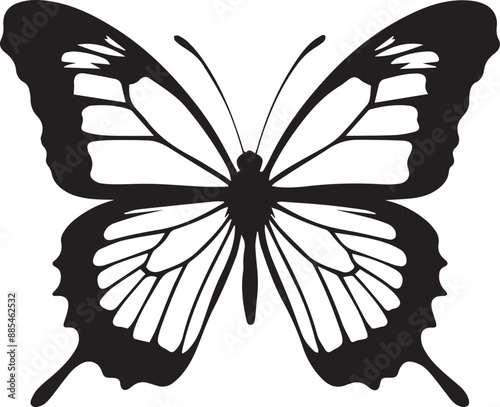 A butterfly silhouette vector art illustration design with a white background photo