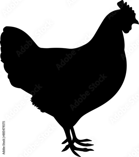 Illustration of a black chicken silhouette. Vector.