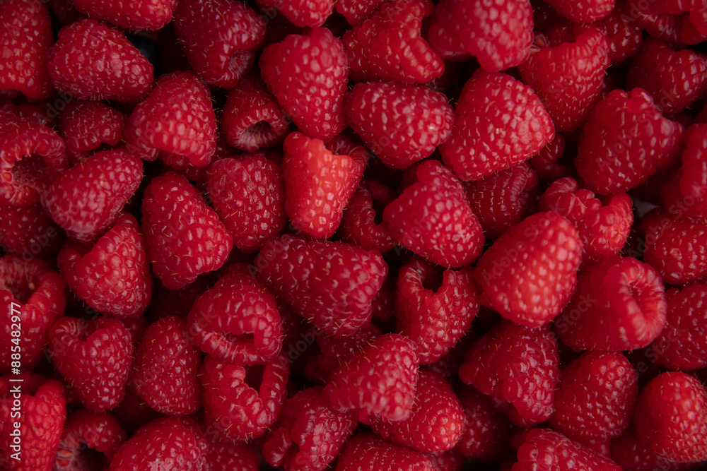 Background of fresh raspberries. Close-up, top view. Background of fresh raspberries. Close-up, top view.