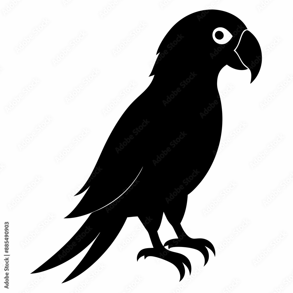 Obraz premium Parrot Black silhouette