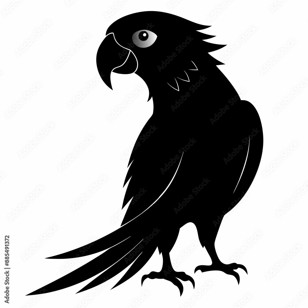 Obraz premium Parrot Black silhouette