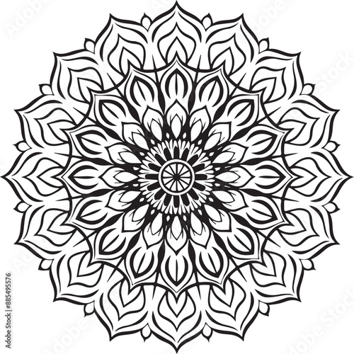 A unique mandala deign with illustration