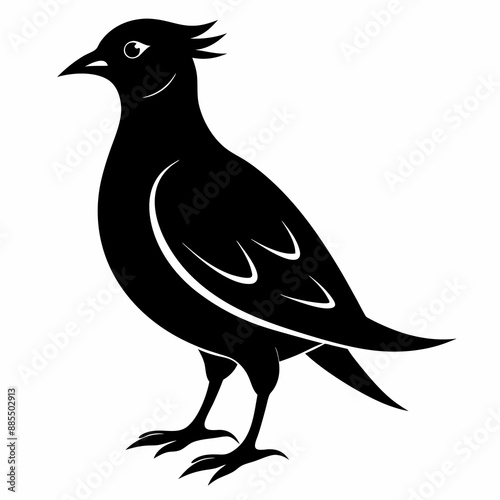 Skylark Black silhouette