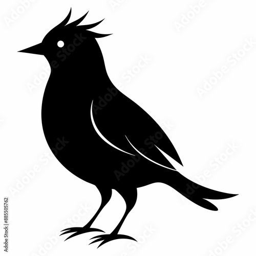 Skylark Black silhouette