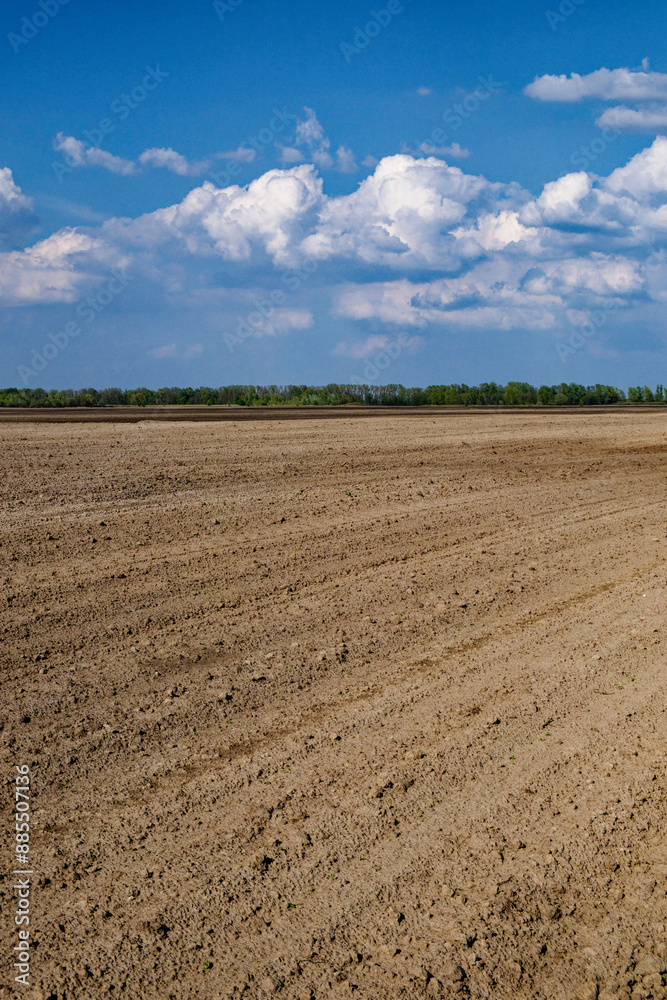 Empty agricultural land with patterned soil and clouds above. Empty agricultural land with patterned soil and clouds above.