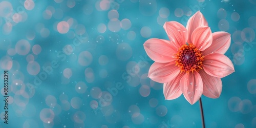 Single pink flower against a blue and white bokeh background.