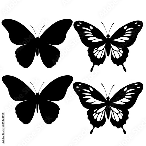 some butterfly silhouette vector illustration
