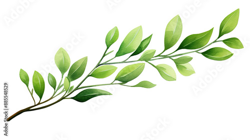 Snowflakes painted in watercolor and isolated on a white background