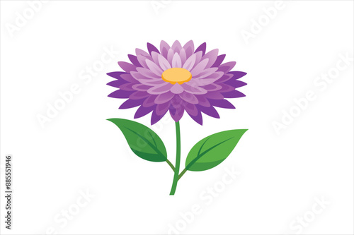 aster flower vector artwork illustration