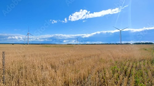 Golden wheat sways gently in the breeze as wind turbines stand tall against a backdrop of blue skies and fluffy clouds. The concept of green energy and sustainability. Copy space