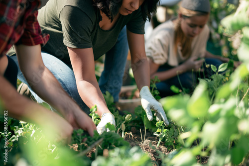 Wallpaper Mural Community Garden Team Planting Vegetables Together Outdoors Torontodigital.ca