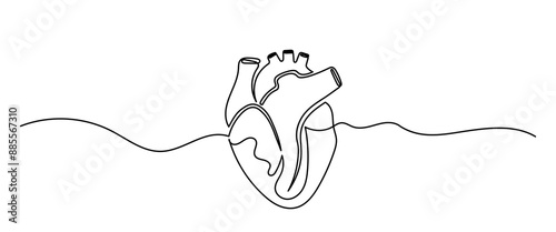 Human heart, Continuous single-line drawing of  human internal organ. The concept of a health care happy Healthy lifestyle. Human heart Vector illustration.
