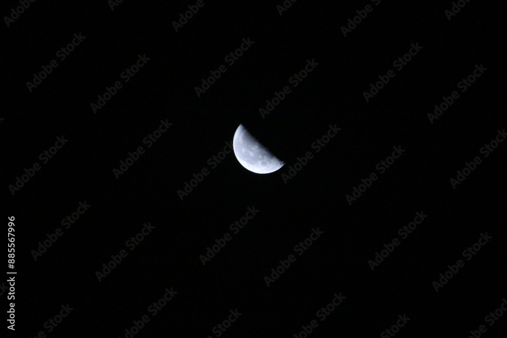 下弦の月 Halfmoon 下弦の月 Halfmoon