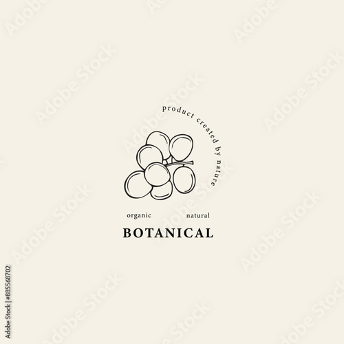 Hand drawn grapes branch logo