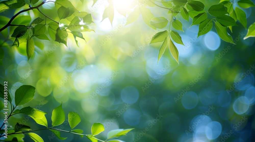 Blurred bokeh background of fresh green spring summer foliage of tree leaves with blue sky and sun flare Blurred bokeh background of fresh green spring summer foliage of tree leaves with blue sky and sun flare