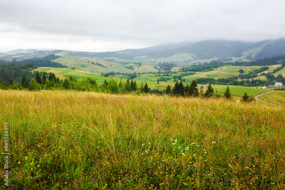 mountainous countryside landscape of ukraine in summer. rolling scenery with rural valley in the distance. grassy meadow on the hill. overcast weather