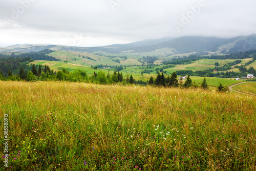Obraz na płótnie mountainous countryside landscape of ukraine in summer. rolling scenery with rural valley in the distance. grassy meadow on the hill. overcast weather w salonie