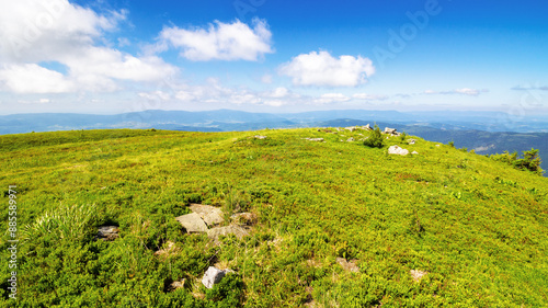 alpine meadows of carpathian mountain. sunny weather. mountainous landscape of ukraine in summer. beautiful view from mount smooth also known as runa. fluffy clouds on the sky photo