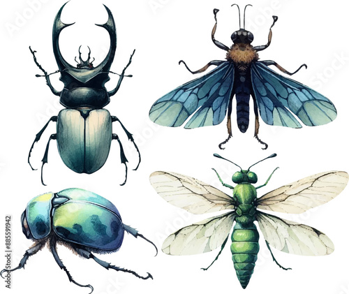 set with various insects in watercolor style