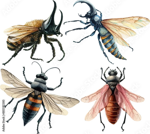 set with various insects in watercolor style