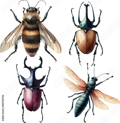 set with various insects in watercolor style