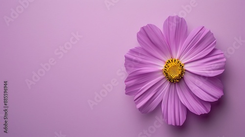 On background, a flower in close-up, adorably awesome. A natural decoration, it's a spectacular sight to behold.