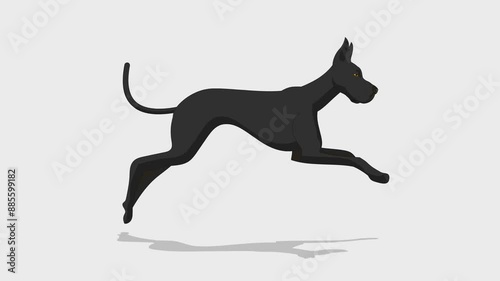 Dog running video animation