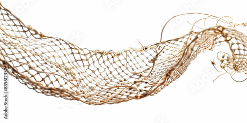  Fishing Net PNG: High-Resolution, Transparent Background, Cutout for Photoshop photo