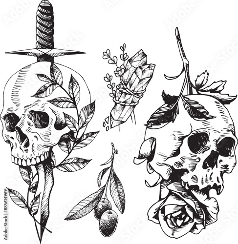 Skulls in nature