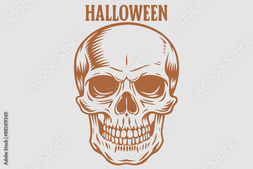 Vintage Human Skull, Human Skull, Skull vector, Skeletion Skull, vintage skeletion skull