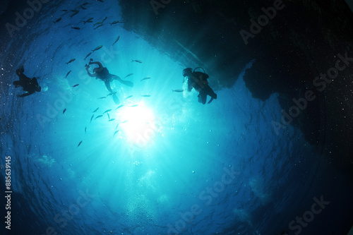 Wallpaper Mural The Red Sea, one of the saltiest seas in the world, is located between Africa and Asia and covers approximately 438,000 km2 (169,100 mi2). Hundreds of hard and soft corals surround this area and are b Torontodigital.ca