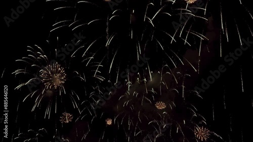Colorful real fireworks show performance display celebration festival holiday on dark sky for abstract background, anniversary, celebration, 4th July, Independence Day, and new year.