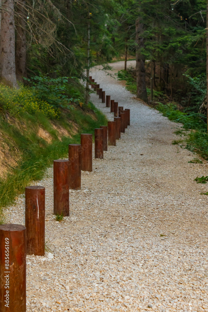 Obraz premium Wood stepping stumps , natural playground at Zlatar mountain in Western Serbia