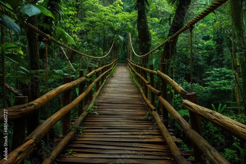 Ecuador Jungle. Wooden Food Bridge in the Green Forest of Ecuadorian Amazon