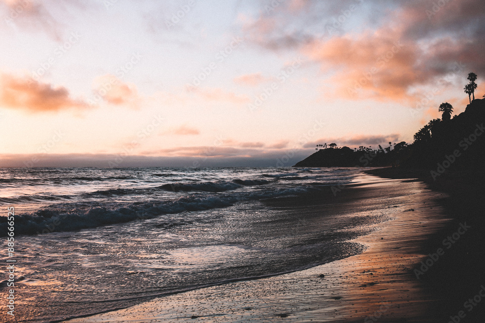 Obraz premium Beaches Palm Trees Sunset Oceanview Photo