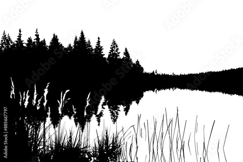 Forest reflected in calm lake with reeds