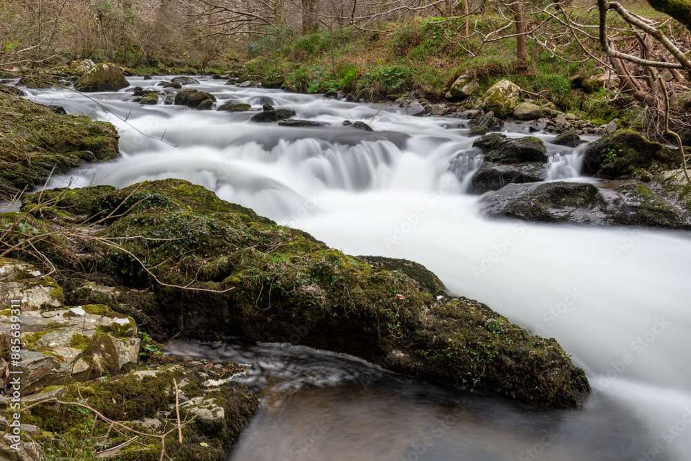 The East Lyn river flowing through the woods at Watersmeet in Exmoor National Park The East Lyn river flowing through the woods at Watersmeet in Exmoor National Park