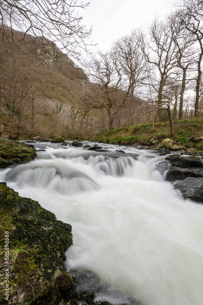 The East Lyn river flowing through the woods at Watersmeet in Exmoor National Park The East Lyn river flowing through the woods at Watersmeet in Exmoor National Park
