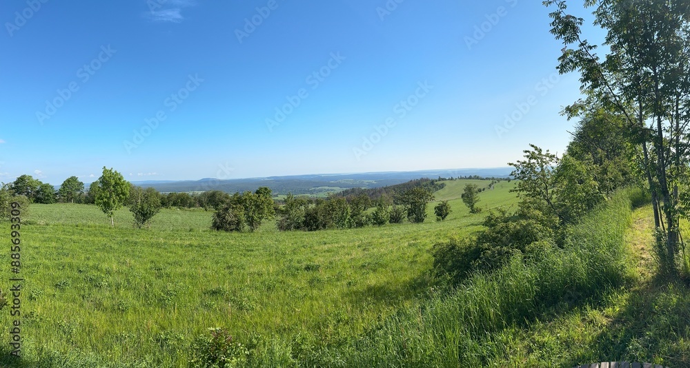 landscape with trees landscape with trees