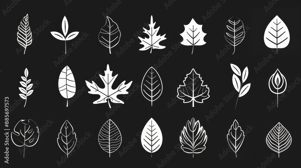 Black and white leaves icons set Black and white leaves icons set