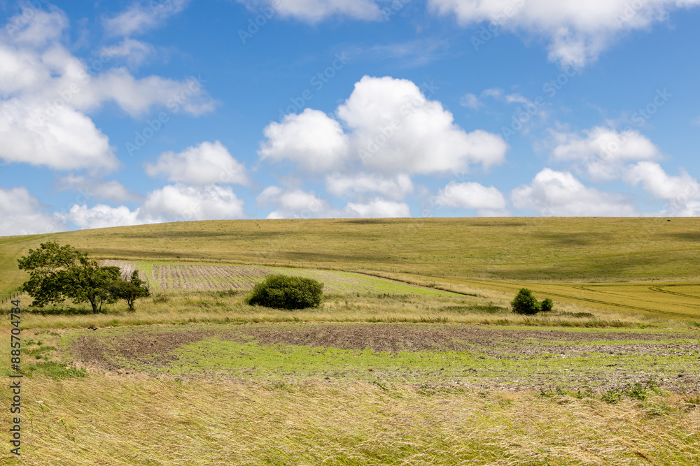 Obraz premium A rural Sussex landscape on a summer's day