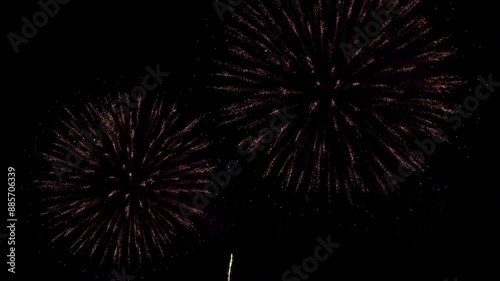 Colorful real fireworks show performance display celebration festival holiday on dark sky for abstract background, anniversary, celebration, 4th July, Independence Day, and new year.